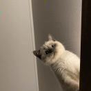 王荡漾_
