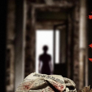 《酱园弄.悬案》影评分析