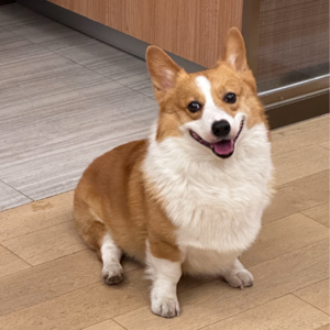 10 原来告别与爱，一样艰难