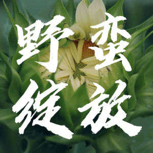 EP26 测评工具vs占星玄学，谁更能读懂你？