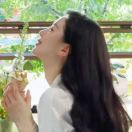 Dimple_fSF4
