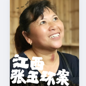 27.失去的9778天：江西张玉环案