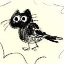 看鸟的黑猫