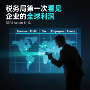 DAY.37 《税务局第一次看见企业的全球利润｜BEPS透明化三部曲》