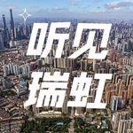 vol.29“我害怕孩子卷到最后连斗志都没了”一位母亲从上海到香港的教育博弈
