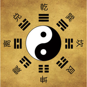 易境观梅