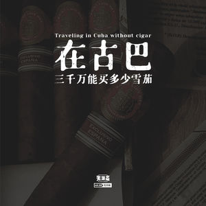 vol.155 在古巴三千万能买多少雪茄