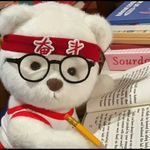 庄某肥鸭