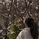 耀耀0123