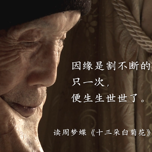“只一次,便生生世世了”|周梦蝶《十三朵白菊花》