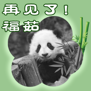 Vol.67 再见了！福茹