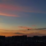 一颗发mo的小蘑菇