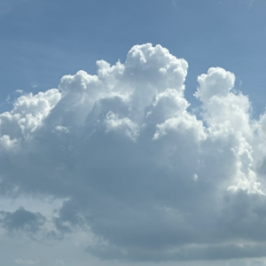 Vol.9 | I Wandered Lonely as a Cloud