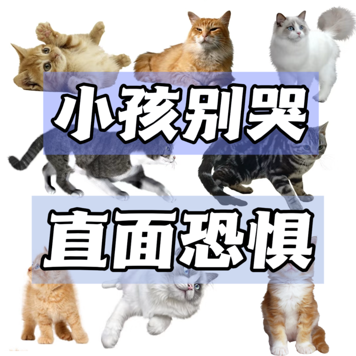 10 ｜小孩别哭 直面恐惧 episode artwork