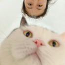 菜刀图图