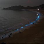 莫小玄