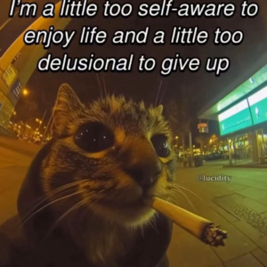 12-哦啊啊哎哎啊啊哦哦啊啊哎哎哦啊哦大嘎达嘎达嘎达嘎达噶大嘎哒嘎达嘎达 2025/6/28