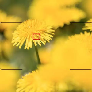 No.28-为什么有的镜头会跑焦？