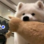 ECHO_MUXI