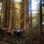 thinkinchaos