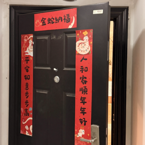 爆竹声中一岁除🧨 📅 Jan.28