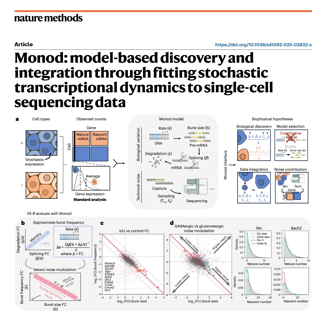 647-Monod: Biophysical Modeling of Transcriptional Dynamics episode artwork
