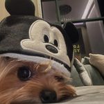 真的睡不醒啊啊