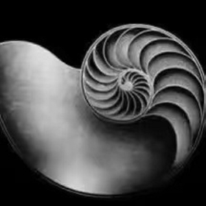 世界午夜的开始 | 欧洲中世纪 | 神学、历史、哲学