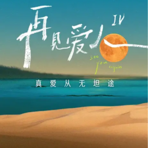 39. 创伤应激、ADHD、女性主义，麦琳让我们看到了什么｜再见爱人4