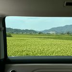 天顶一粒光