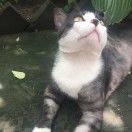 小翟_XjNN