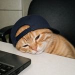 纳谦