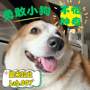 Lab.007 | 为了拯救我的肿瘤小狗,我把自己亲妈骂了一顿
