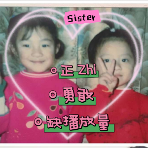 Vol.2 姐姐！你正直勇敢，一点都不可怜！