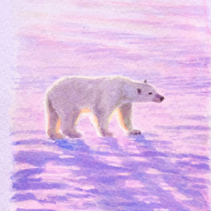 60 随心而动，我的solo旅行