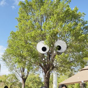 podcaster-avatar