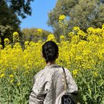 每天都很满足的瑰夏