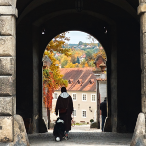 🌊攻略乱我心，网图迷人眼，第一次欧洲游该如何准备？（下）