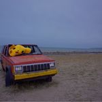 一拨拨欢快的浪