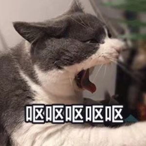 王德发大财