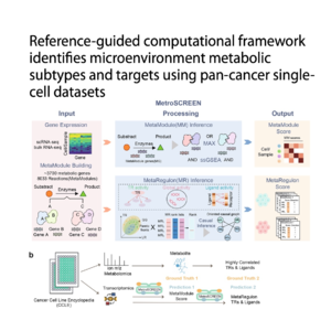 373-MetroSCREEN: Mapping Pan-Cancer Metabolic Subtypes
