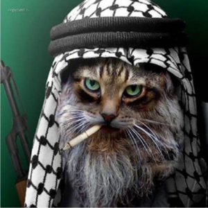 “瓦格纳”在非洲撒哈拉沙漠的“团灭”