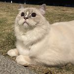 箖_eXzd