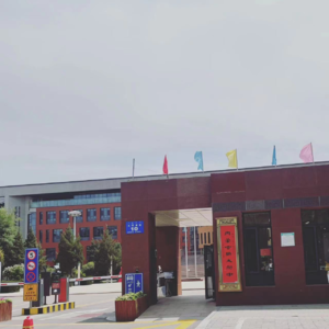 人生，本来就不是爬台阶啊