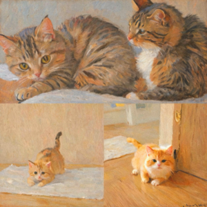 Ep11 猫友茶话会