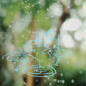 28.游出自己的水域