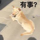 有事_VfNW