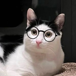 podcaster-avatar