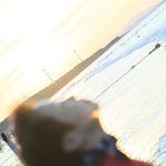 阳光下的瞌睡猫