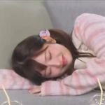梨瑜野舟好运常伴
